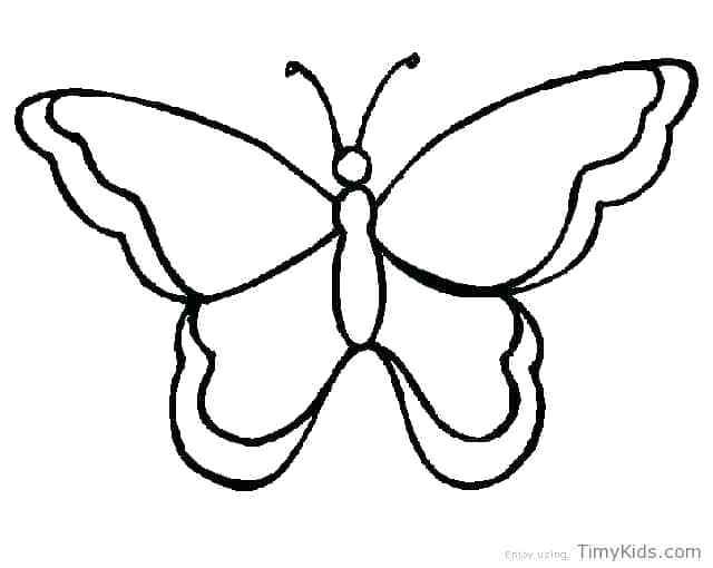 640x510 Butterfly Outline Drawing Butterfly Template The Best Ideas