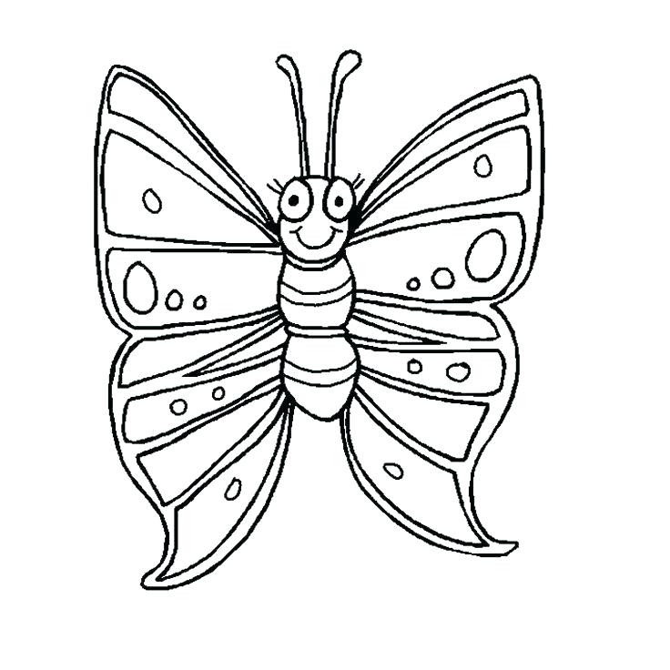 736x736 Coloring Pages For Kids Butterfly Drawing Vector Stock Picture