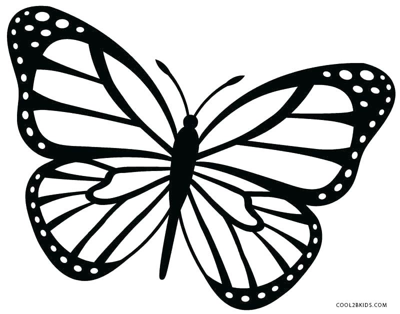 800x628 Butterfly Coloring Pages For Kids