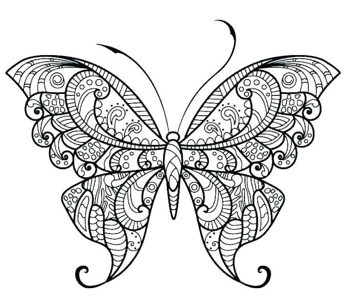 678x600 Drawing Butterflies For Kids