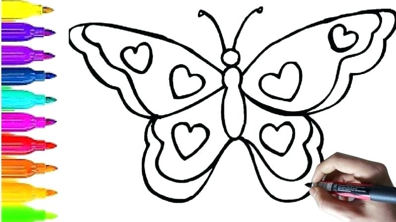 800x450 How To Draw A Butterfly Kids