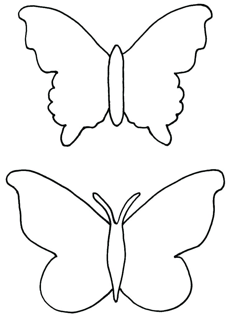 728x1015 Butterfly Template Butterfly Drawing Template At Free