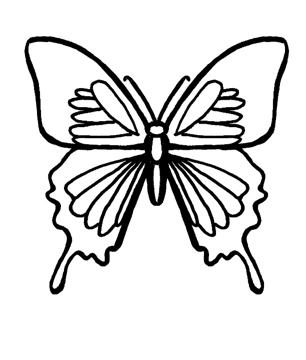612x719 Butterfly Clipart To Color Butterfly Drawing Color