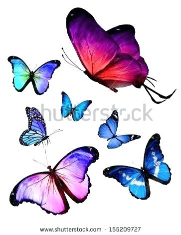 363x470 Flying Butterfly Drawings Flying Butterfly Tattoo Outline