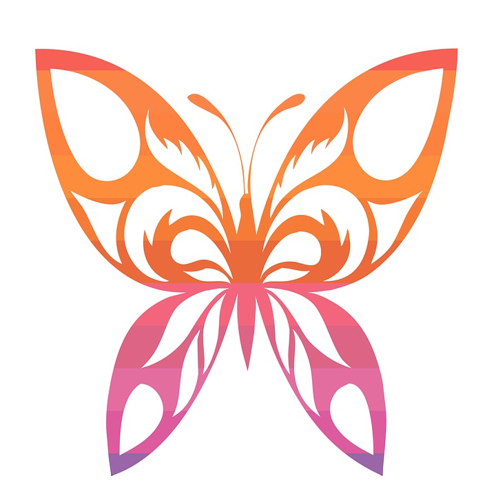 720x720 Huge Collection Of 'butterfly Design Drawing' Download More Than