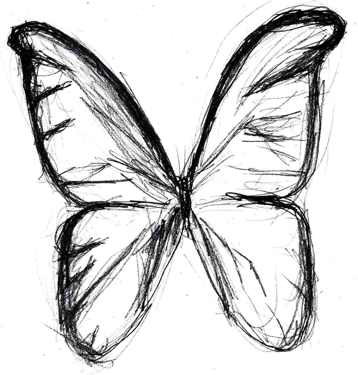 1476x1546 Simple Butterfly Pencil Drawing