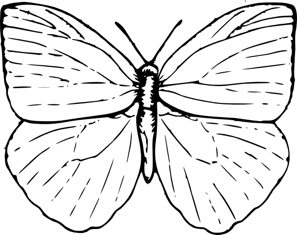 600x475 Easy Butterfly Drawings Butterfly Outline Clip Art Painting