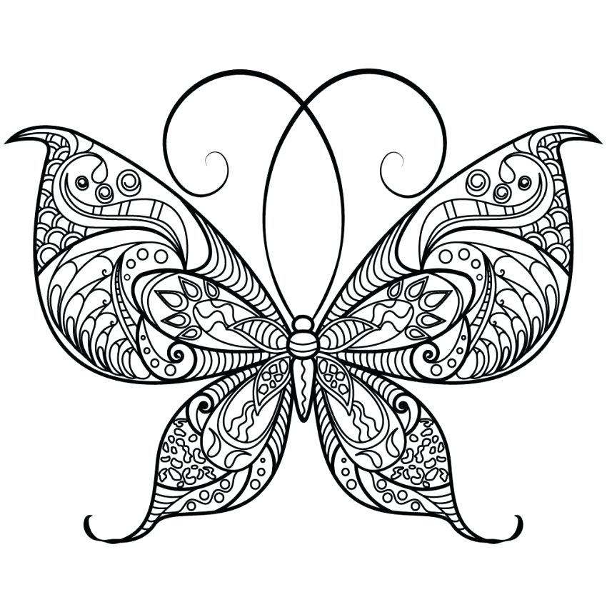 850x850 Butterfly Coloring Sheets Butterfly Coloring Pages To Print Image