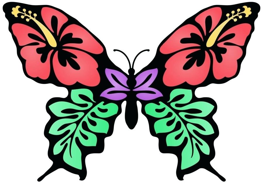 900x640 butterfly drawing color butterfly drawing more butterfly drawing