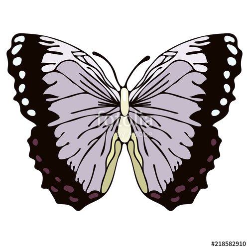 500x500 Butterfly Cartoon Drawing, Vector Illustration Abstraction Drawn