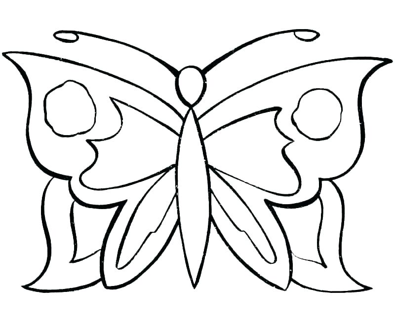 800x653 drawing of a butterfly for coloring drawing butterfly butterfly