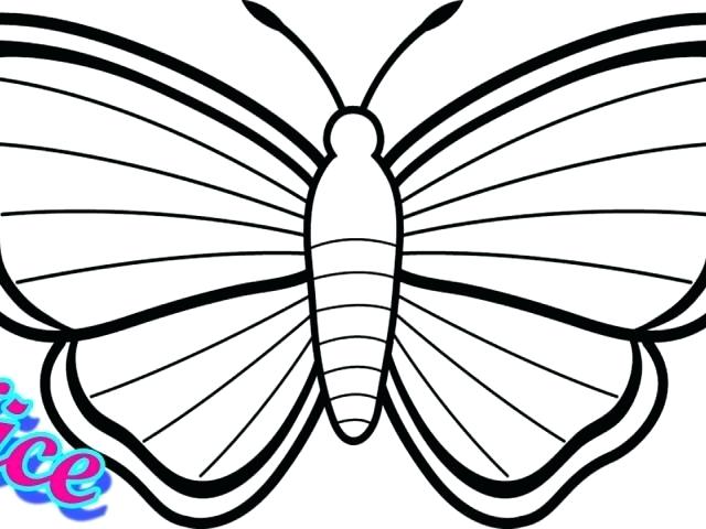 640x480 Drawings Of Butterflies Butterfly Drawings In Pencil Step