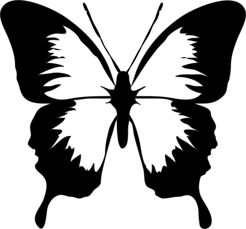 805x750 Monarch Butterfly Drawing Download Computer Icons Cc0