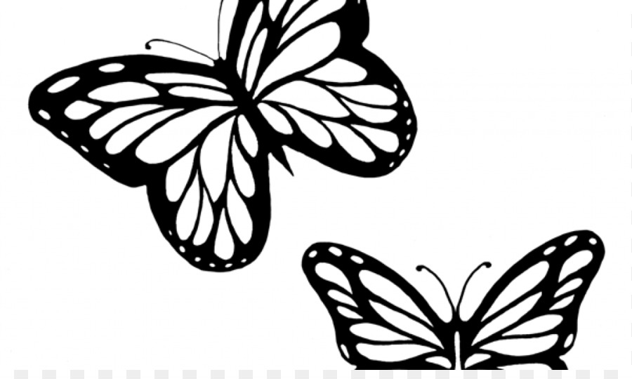900x540 Trend Monarch Butterfly Outline Drawing Clip Art Butterflies