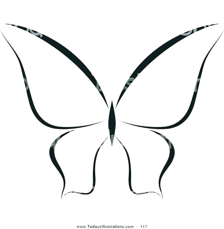 736x750 Butterfly Drawing Outline Template Images Free Basic Simple To Print