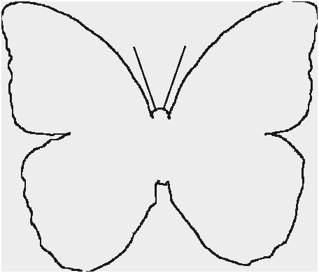 456x391 Butterfly Outline Coloring