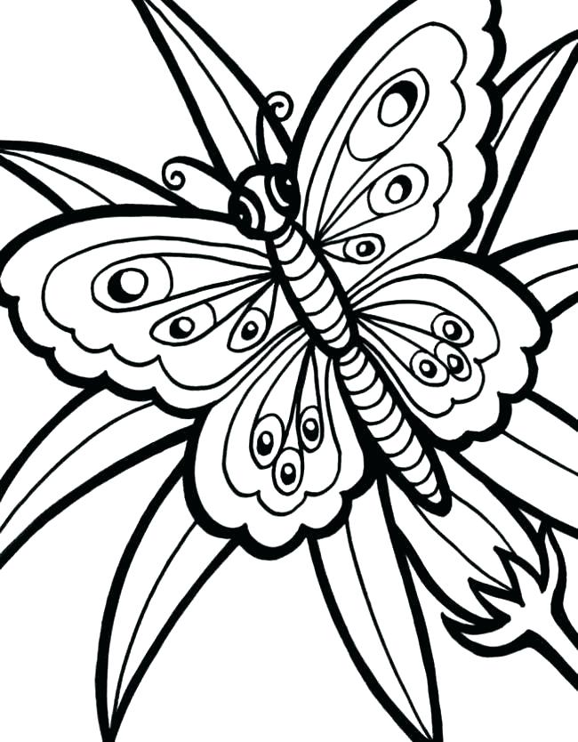 650x834 Butterfly Outline Drawing Free Printable Butterfly Templates High