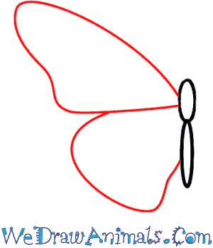 300x350 How To Draw A Butterfly