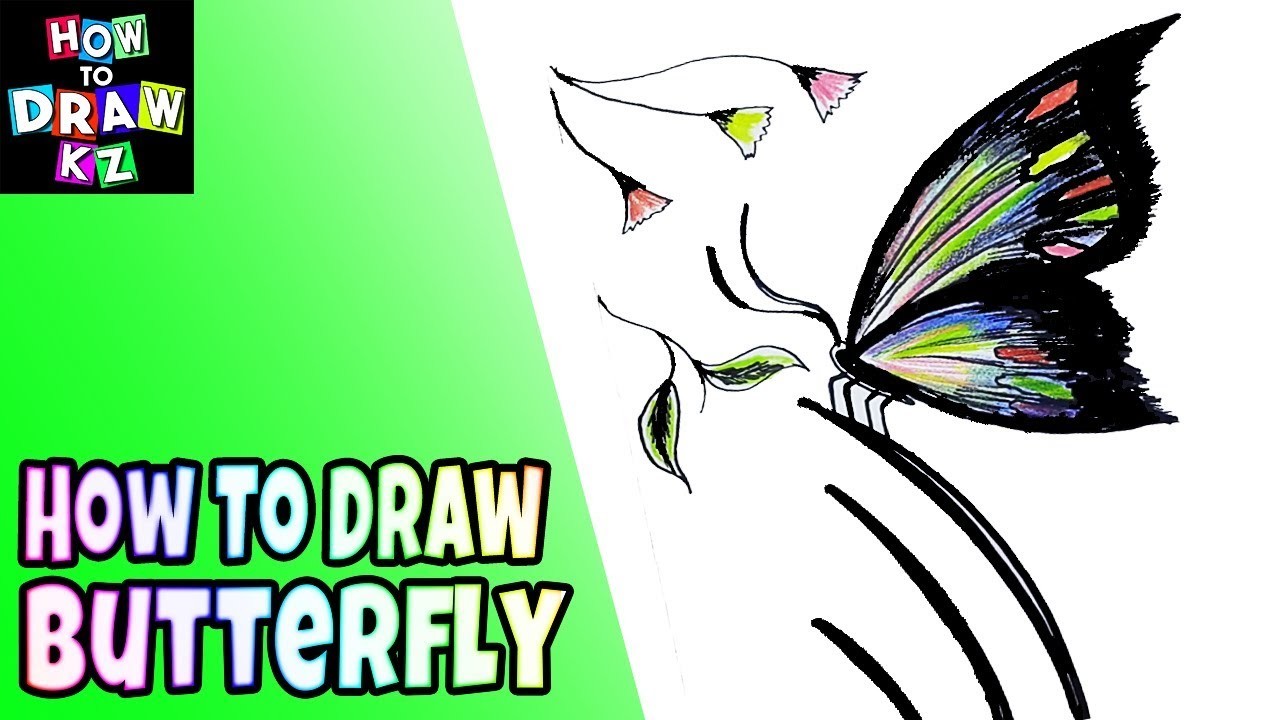 1280x720 How To Draw Butterfly For Kids