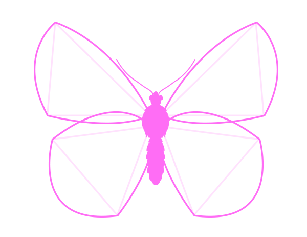 600x462 How To Draw Animals Butterflies, Their Anatomy And Wing Patterns