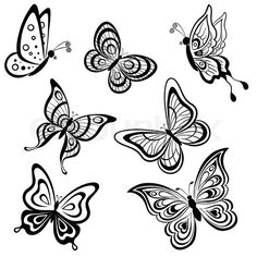 236x236 Huge Collection Of 'butterflies Drawing' Download More Than