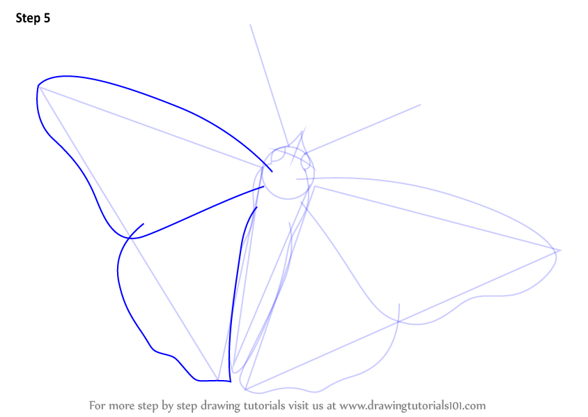 844x598 Learn How To Draw A Painted Lady