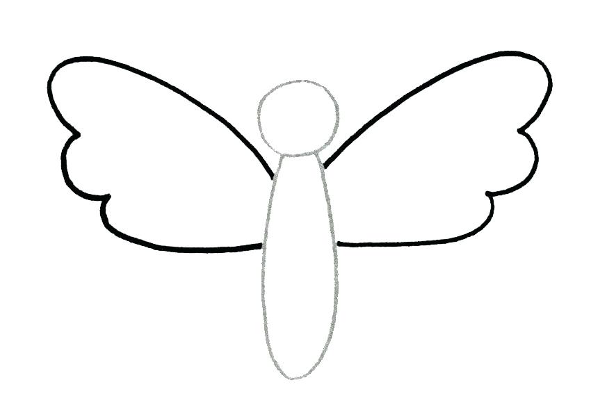 850x567 steps to draw butterfly easy steps to draw a beautiful butterfly