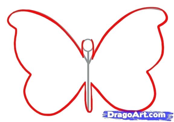 576x404 Butterfly Easy Drawing
