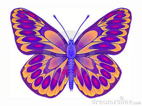 480x360 How To Draw Butterfly