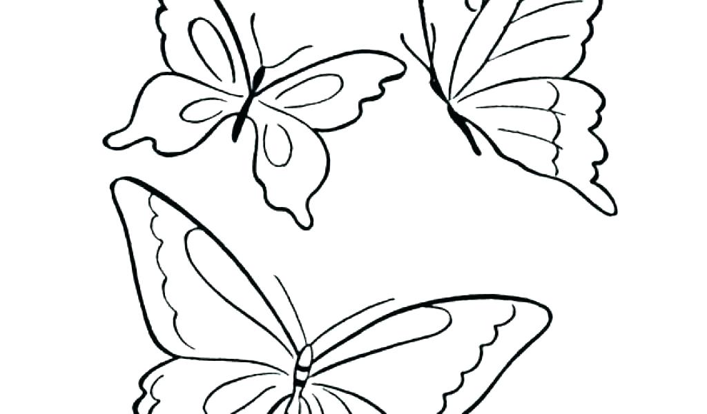 1024x600 Butterfly Coloring