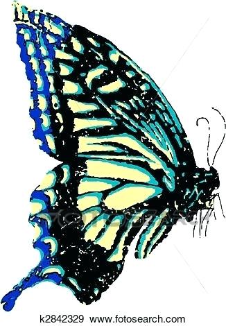 326x470 Flying Butterfly Drawings Flying Butterfly Tattoo Outline