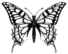 235x186 Best Flying Butterfly Tattoo Drawings Images Butterflies