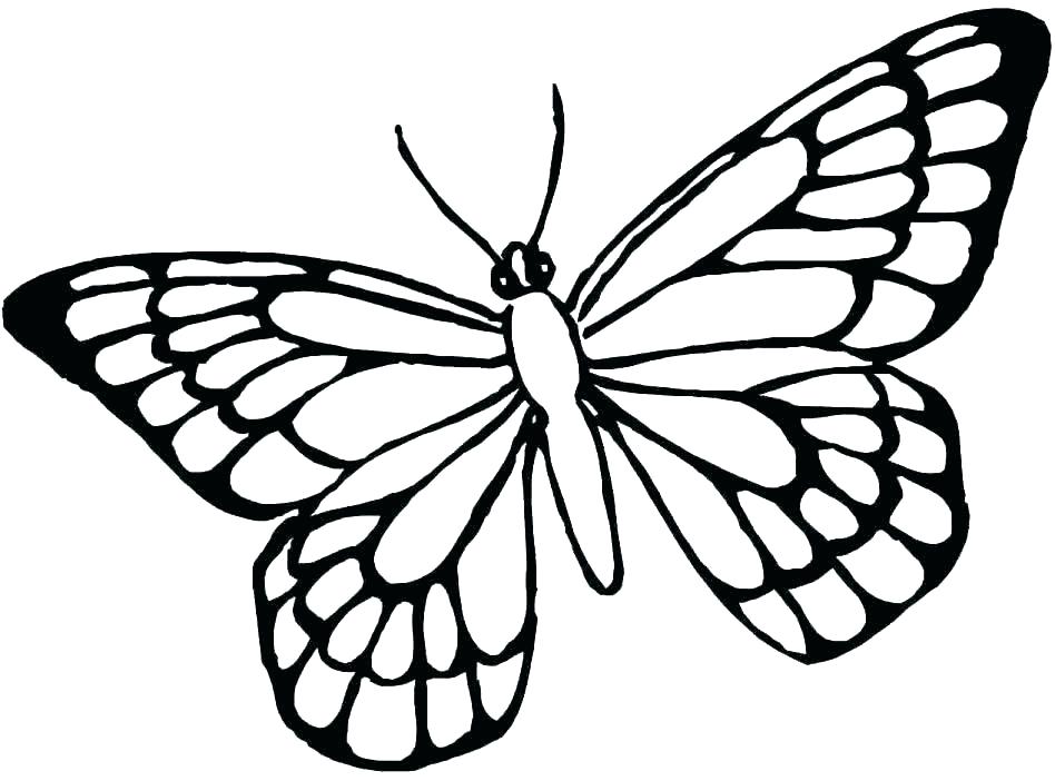 948x702 Butterfly Outline Butterfly Template Tattoo