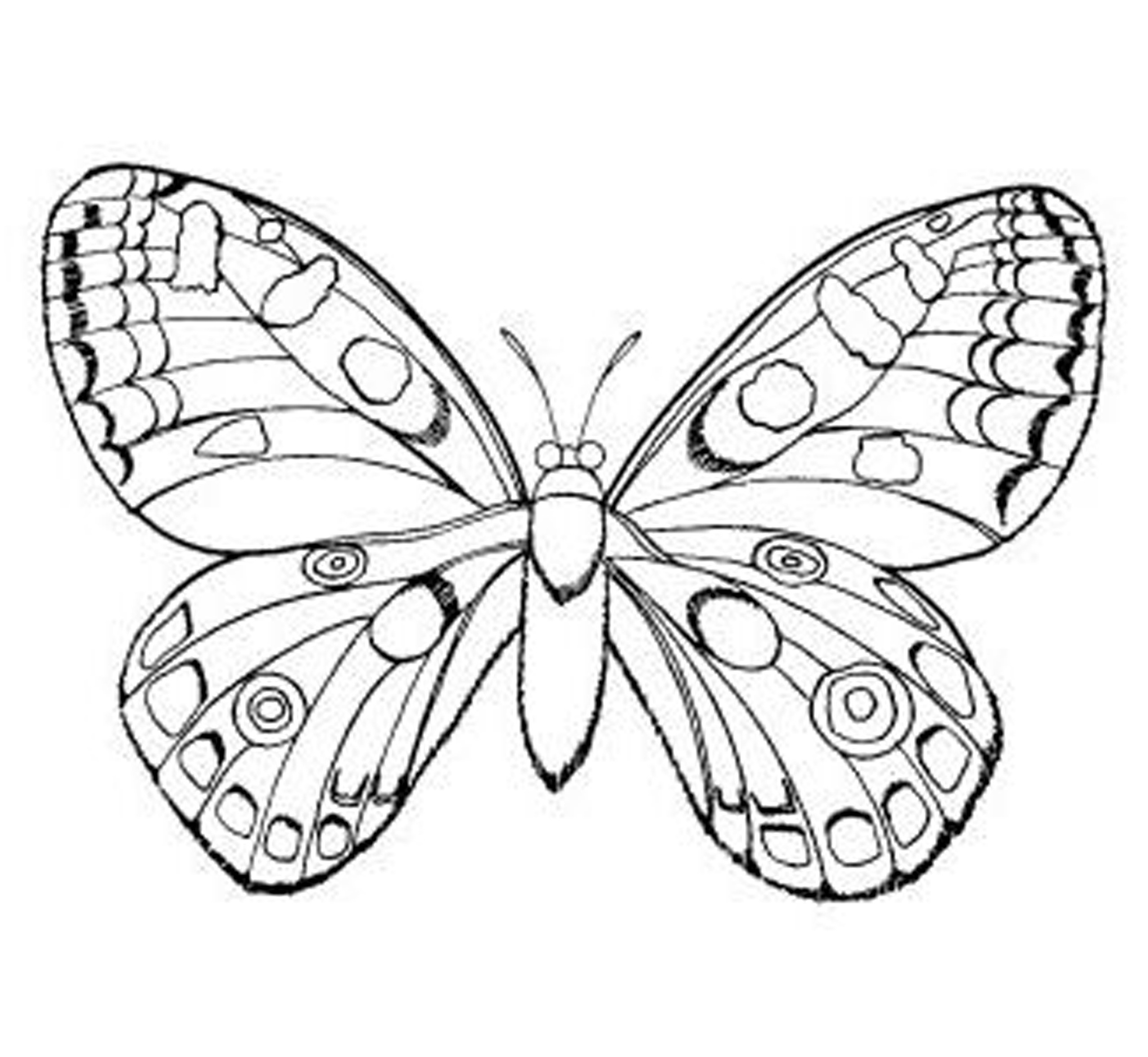 2550x2347 Butterfly Template For Coloring Save Butterfly Drawing To Print
