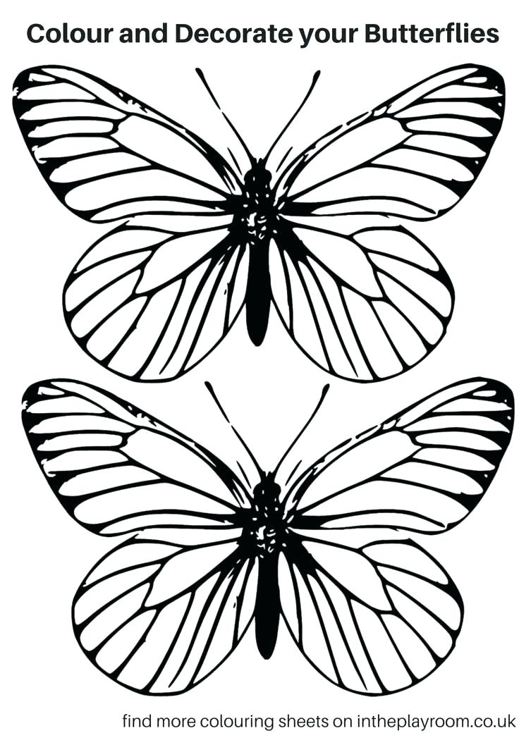 736x1040 Butterfly Template To Print A Colouring Pages Printable Simple Prin