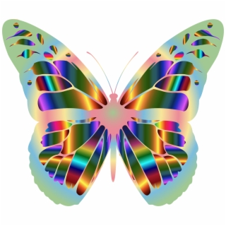 320x320 Hd Monarch Butterfly Outline Drawing Template