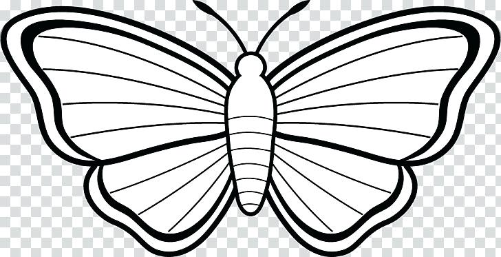 728x373 Monarch Butterfly Coloring Book Drawing Printable Pages Template