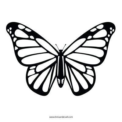 400x400 She Said Designs The Store Monarch Butterfly Painting Template