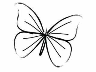 320x240 simple butterfly pictures free simple butterfly template simple