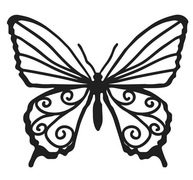 650x604 Views Butterfly Beauty Butterfly Stencil, Pen Stencils
