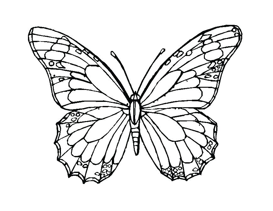869x671 Butterflies Template Printable Butterfly Templates To Print