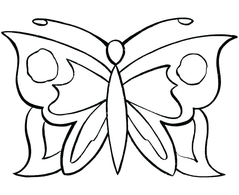 800x653 Butterfly Drawing Outline Template Images Free Basic Simple To Print