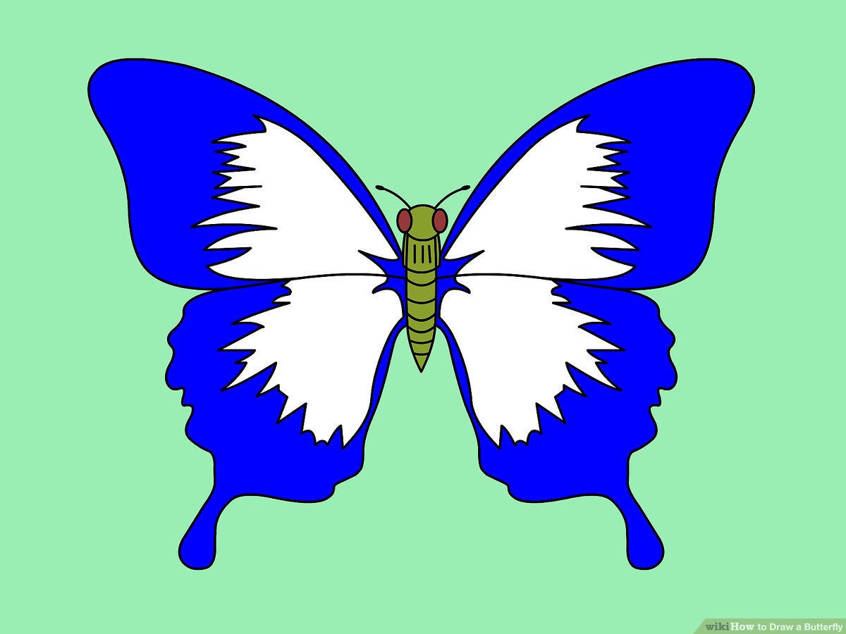 1200x900 Ways To Draw A Butterfly Step