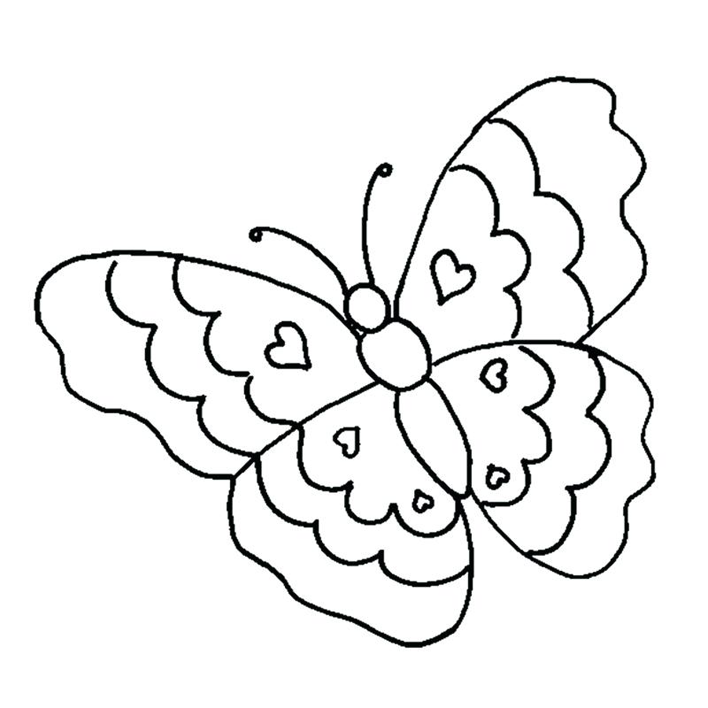 800x800 Easy Butterfly Drawing With Colour