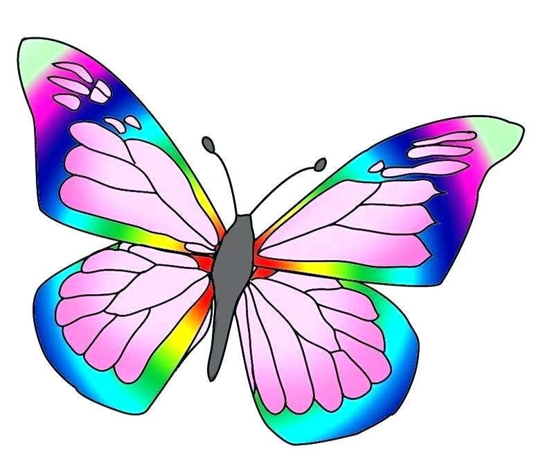 787x685 Easy Butterfly Drawings Butterfly Drawing Easy Drawings
