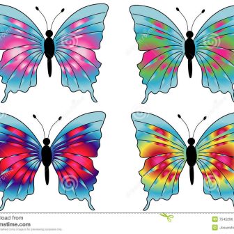 336x336 Butterfly Drawings In Pencil Step