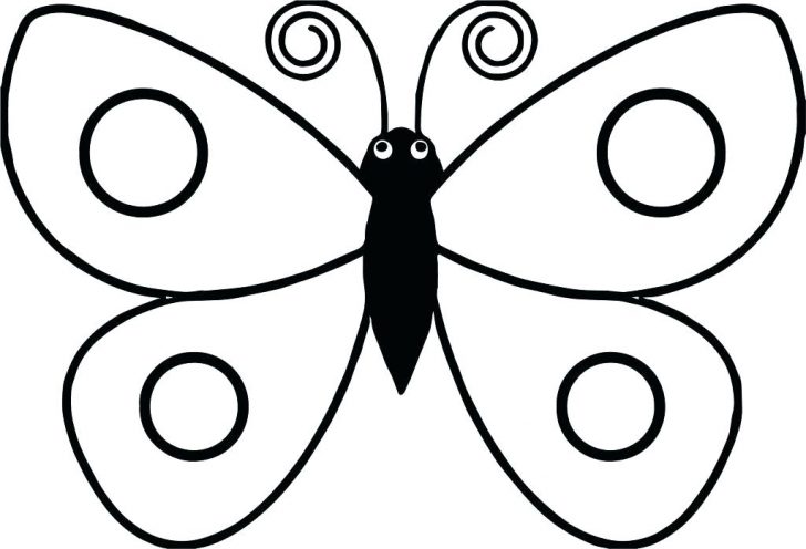 728x496 Flying Butterfly Drawings With Color Images Printable Fun Coloring
