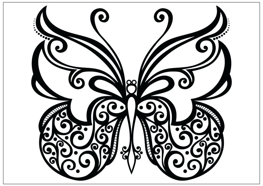 842x595 Butterfly Drawings With Color