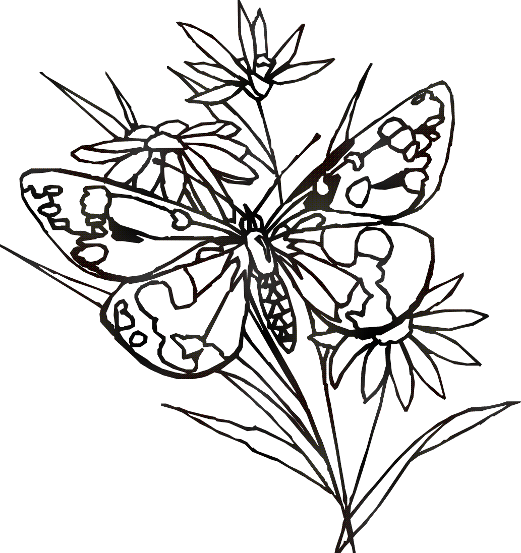 1033x1097 Collection Of Free Drawing Flowers Butterfly Download On Ui Ex