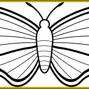 300x300 Easter Butterfly Coloring